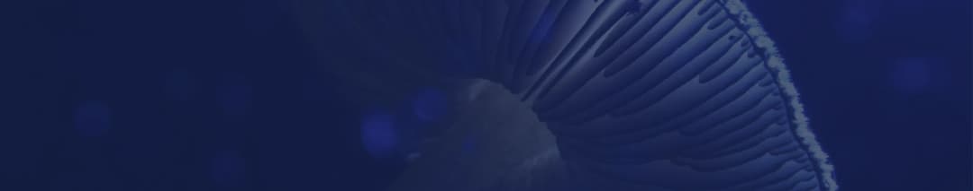 I'm just testing this