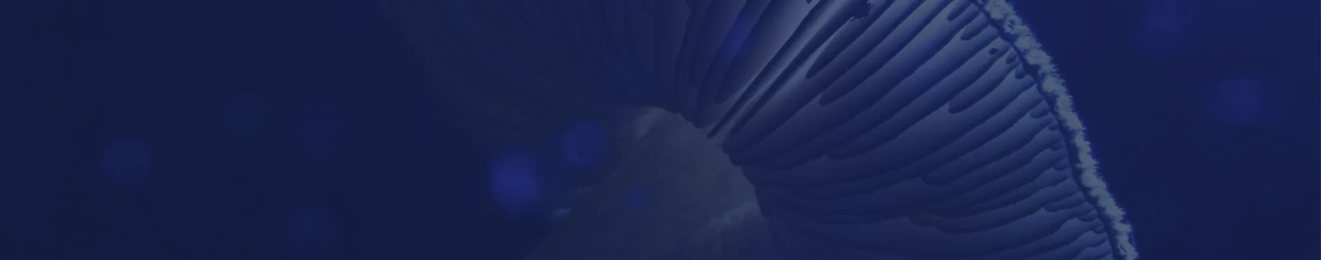 I'm just testing this